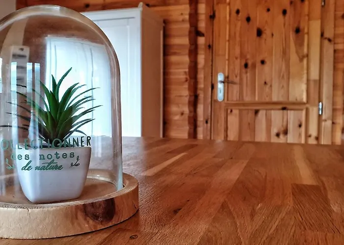 Le Jacuzzi Et Détente 4 étoiles Bagnères-de-Bigorre